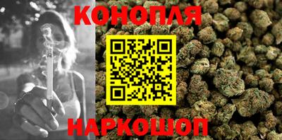 apvp Гатчина