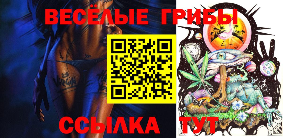 Галлюциногенные грибы Psilocybe Нижний Новгород