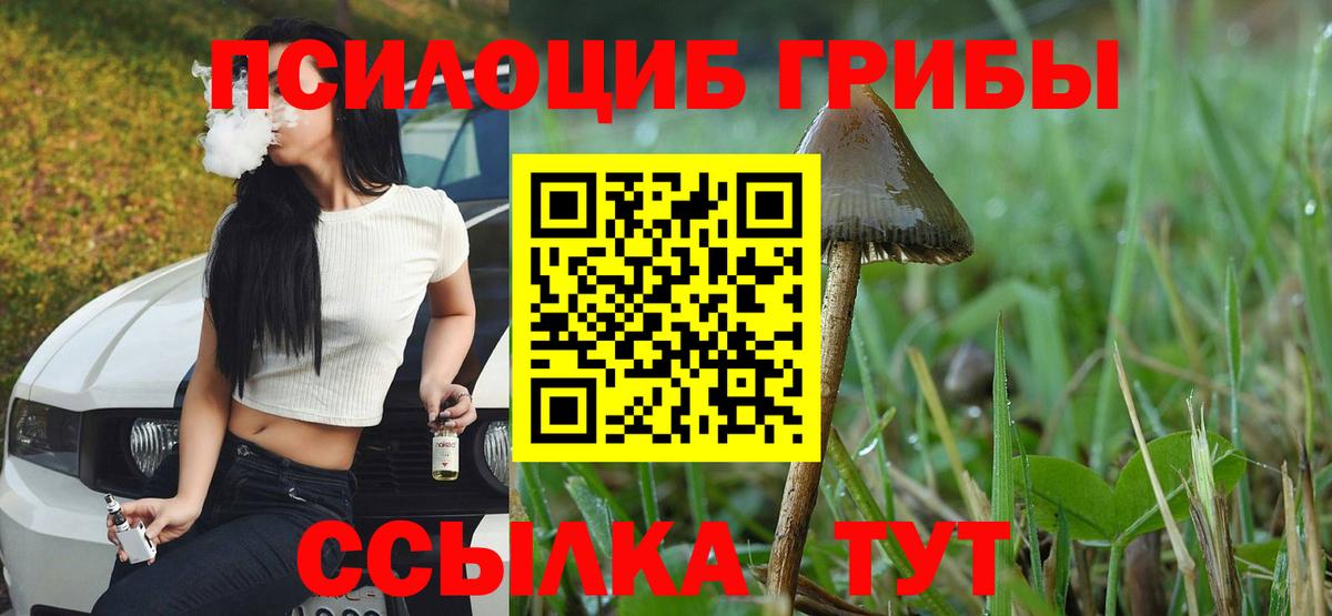 Псилоцибиновые грибы прущие грибы  Вход с VPN  Нижний Новгород 